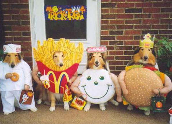 Thus far, he sent a humorous picture of dogs dressed up for Halloween, 