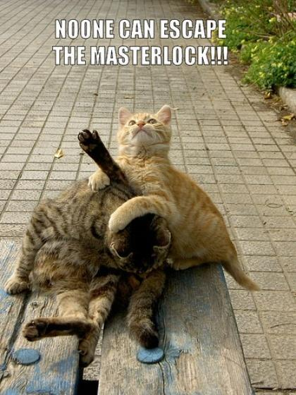 masterlock_cats.png